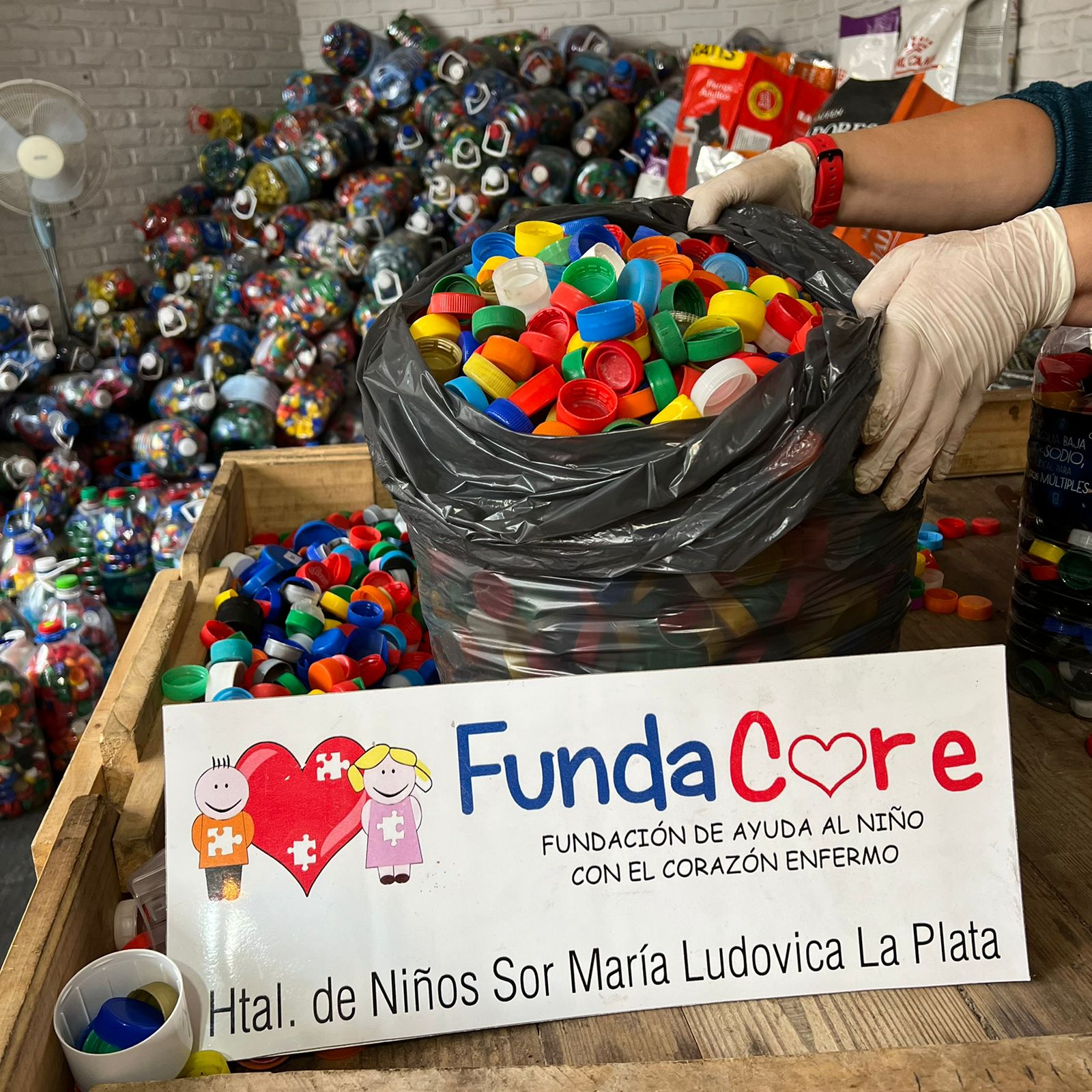 Gestión de los Recursos 1